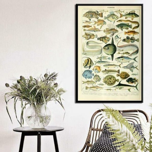 Wall Decor | Vintage Ocean Life Wall Chart Poster, 8.1" x 12" (21 x 30 cm) Wall Wall Decor