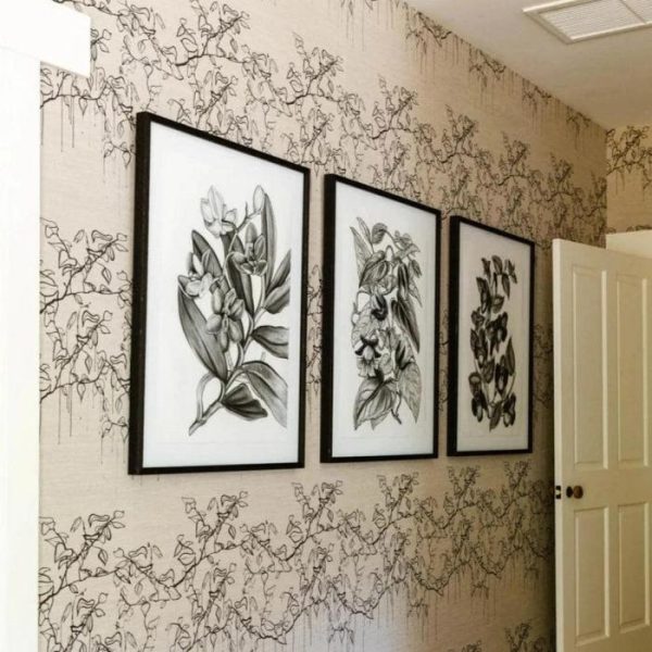 Wall Prints | Campanumoea Javanica Print, 30" x 22" Wall Wall Decor