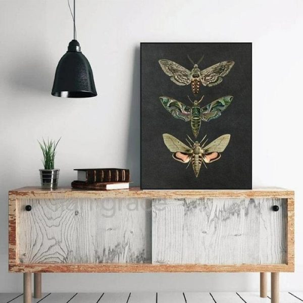 Wall Prints | Dramatic Insect Collection Wall Art Poster Print, 28" x 40" (70 x 100 cm) Wall Wall Prints