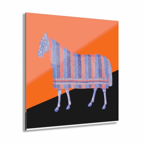 Wall Prints | House Of Horse Acrylic Print Wall Art With French Cleat Hanging Wall Wall Prints