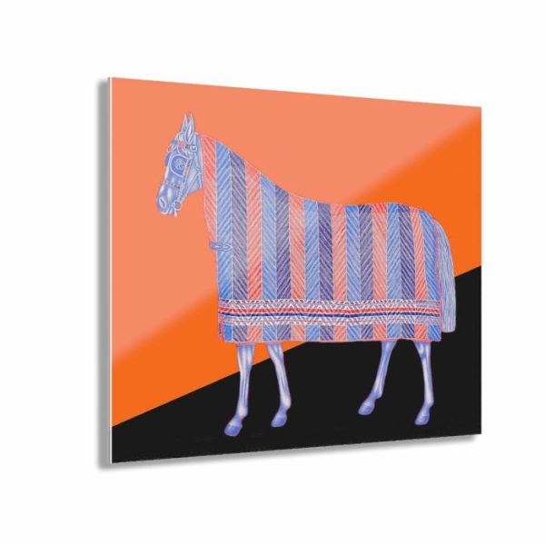 Wall Prints | House Of Horse Acrylic Print Wall Art With French Cleat Hanging Wall Wall Prints