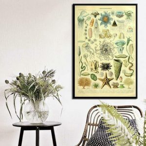 Wall Prints | Vintage Deep Ocean Creatures Chart Wall Poster Print, 8" x 12" (21 x 30 cm) Wall Wall Prints