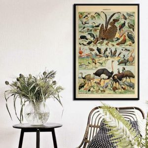 Wall Prints | Vintage Exotic Safari Bird Chart Wall Poster Print, 8" x 12" (21 x 30 cm) Wall Wall Prints