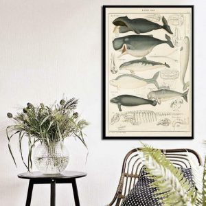 Wall Prints | Vintage Ocean Whales Chart Wall Poster Print, 21×30 cm No Frame Wall Wall Prints