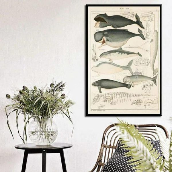 Wall Prints | Vintage Ocean Whales Wall Chart Poster Print, 8" x 12" (21 x 30 cm) Wall Wall Decor