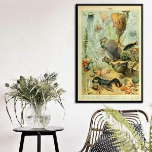 Wall Prints | Vintage Swimming Ocean Sea Life Wall Chart Poster Print, 8.2" x 12" (21 x 30 cm) Wall Wall Decor