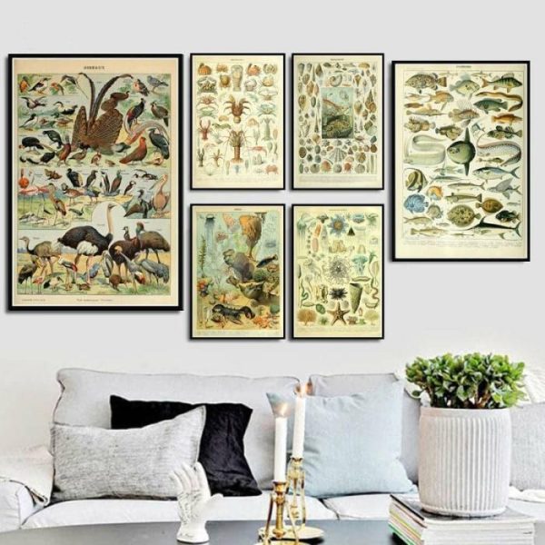 Wall Prints | Vintage Swimming Ocean Sea Life Wall Chart Poster Print, 8.2" x 12" (21 x 30 cm) Wall Wall Decor