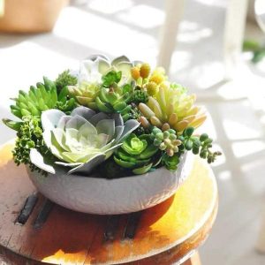 Flora & Plants | Dalat Artificial Succulents Arrangement In A White Bowl Decor Flora & Plants