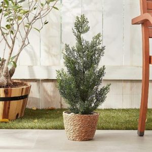 Flora & Plants | Mini Cedar Pine Silk Tree In Black Pot Decor Flora & Plants