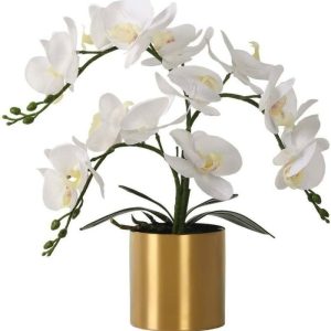 Flora & Plants | Realistic Orchid With Gold Pot Decor Flora & Plants